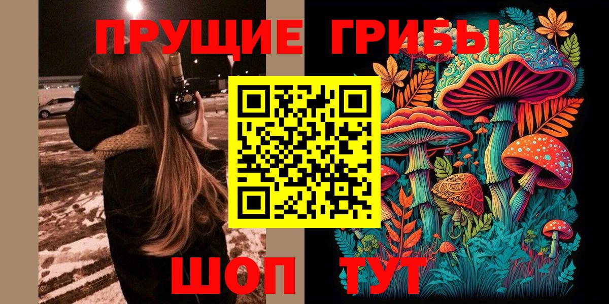 Псилоцибиновые грибы Psilocybe  Вход с VPN  Галлюциногенные грибы MAGIC MUSHROOMS  Луга 